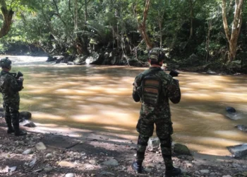 Alerta en Tolima por reclutamiento hacia guerra en Europa