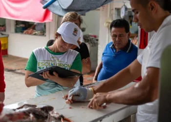 Ibagué habilita trámite virtual para obtener el concepto sanitario