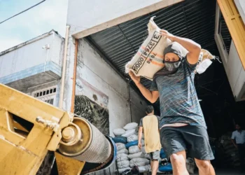 Café de Ibagué conquista mercados asiáticos con millonarias exportaciones
