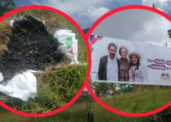 Incineran valla política de Iván Cepeda en Chaparral