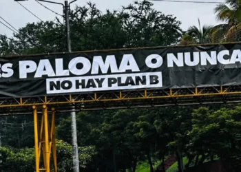 Valla política en puente de la 60 desata controversia en Ibagué