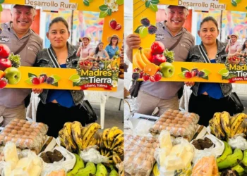 Planadas reunirá a los mejores cafés del Tolima en gran agroferia cafetera
