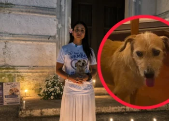 Honda marchó y encendió velas para exigir justicia por la muerte de ‘Lula’