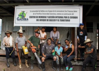 Galilea: el bosque que sobrevivió a la guerra, al despojo y a los nuevos negocios verdes