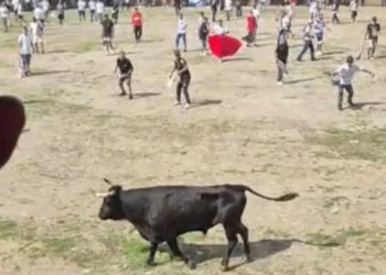 Fatal jornada en corralejas de El Espinal: un hombre murió tras ser embestido por un toro