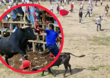 Ocho heridos dejan las corralejas del fin de semana en El Espinal