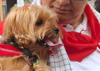 Más de 500 mascotas protagonizaron desfile por el bienestar animal en Ibagué