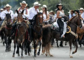 Sin cabalgata: la justicia frena una de las tradiciones del Festival Folclórico
