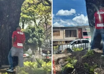 Persisten llamados para proteger los separadores de la carrera Quinta durante las fiestas