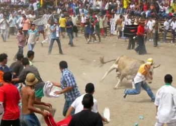 Tolima cuestiona continuidad de las corralejas en El Espinal