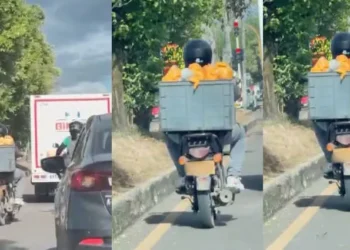 Video genera alerta por presunto transporte irregular de pollo en Ibagué