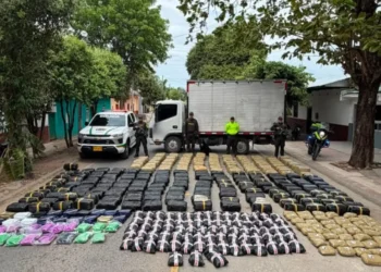 Operativo en Coyaima desarticula millonario envío de droga hacia la capital