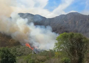 ¡Tolima arde! Autoridades atribuyen la mayoría de incendios a quemas irresponsables