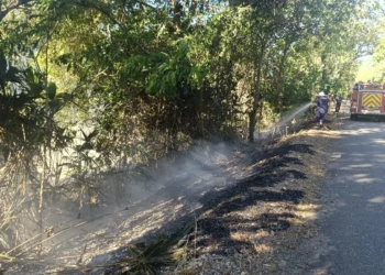 Alerta en el Tolima: 28 municipios presentan riesgo de incendios forestales