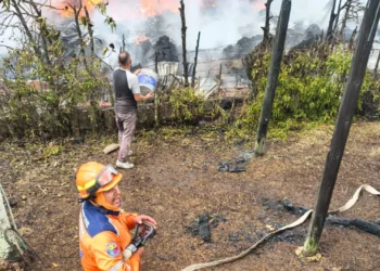 Emergencia en Ibagué: Incendio en El Salado supera capacidad operativa de bomberos