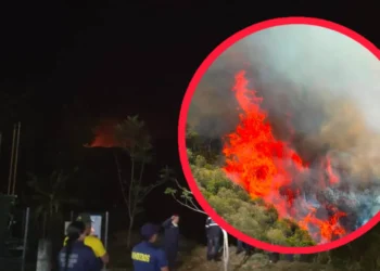 Voraz incendio arrasa más de 15 hectáreas en el Alto de Gualanday