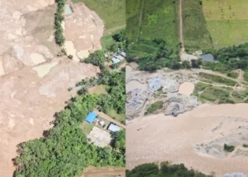 Minería ilegal devora 491 hectáreas en el sur del Tolima