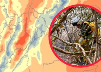 Tolima pide apoyo urgente por ola de incendios forestales