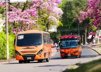 Transportadores anuncian posibles protestas por el SETP