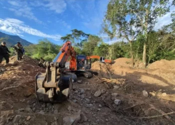 Minería ilegal devora el sur del Tolima y agrava la crisis ambiental