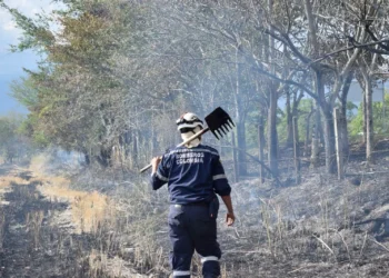 Cortolima declara máxima alerta por aumento de incendios forestales en el Tolima