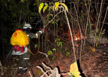 Ejército combate más de 22 incendios forestales en Tolima