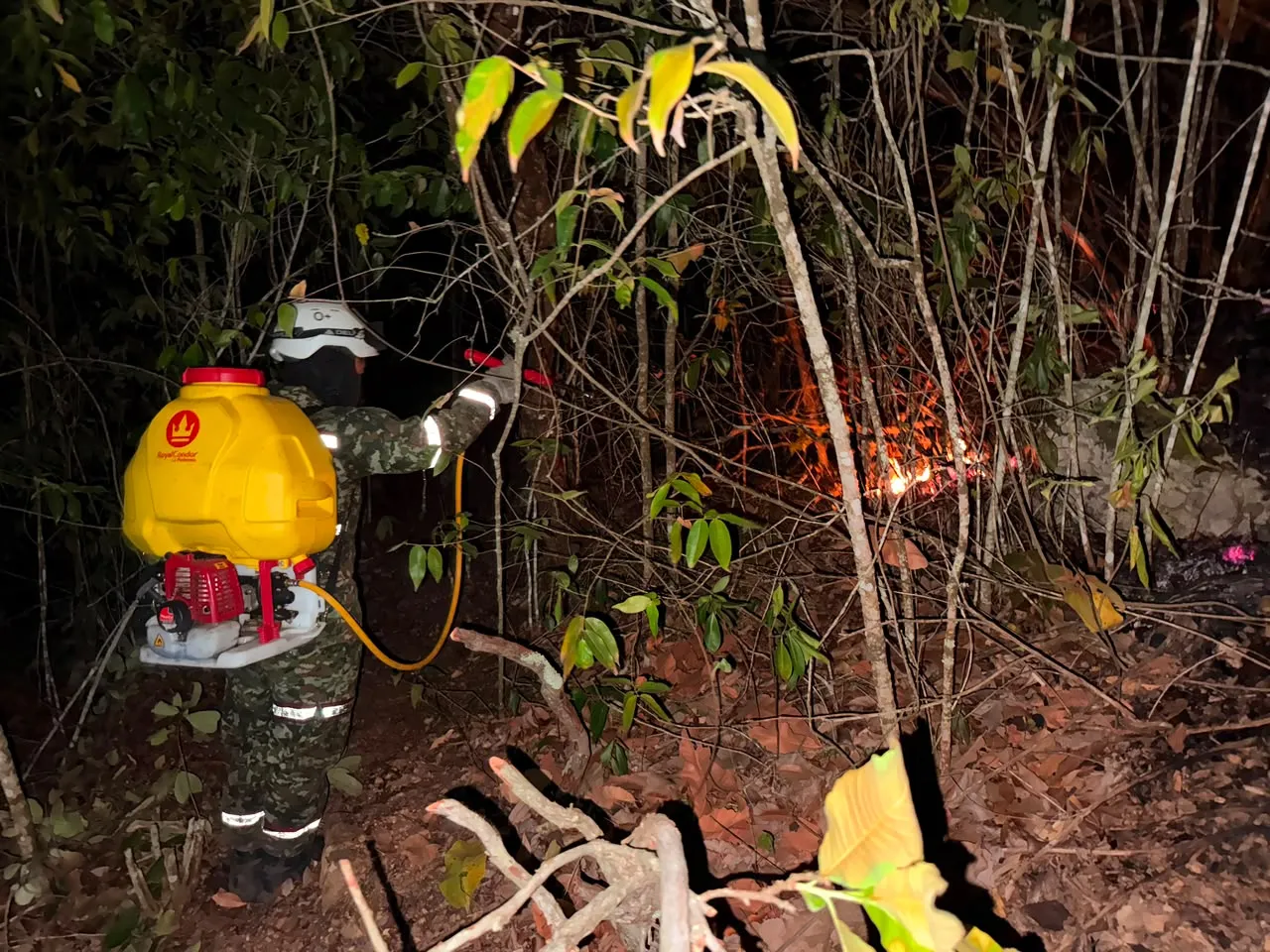 Ejército combate más de 22 incendios forestales en Tolima