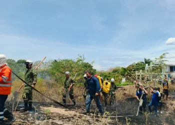 Ejército refuerza combate contra incendios forestales en San Luis