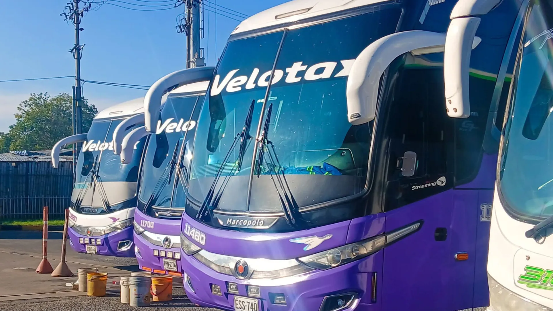 Justicia frena temporalmente salida de gerente de Velotax