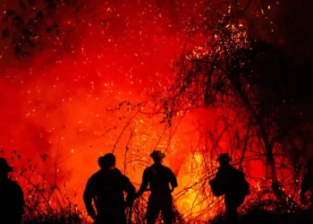 Tolima despierta bajo fuego: 22 incendios mantienen en alerta al departamento