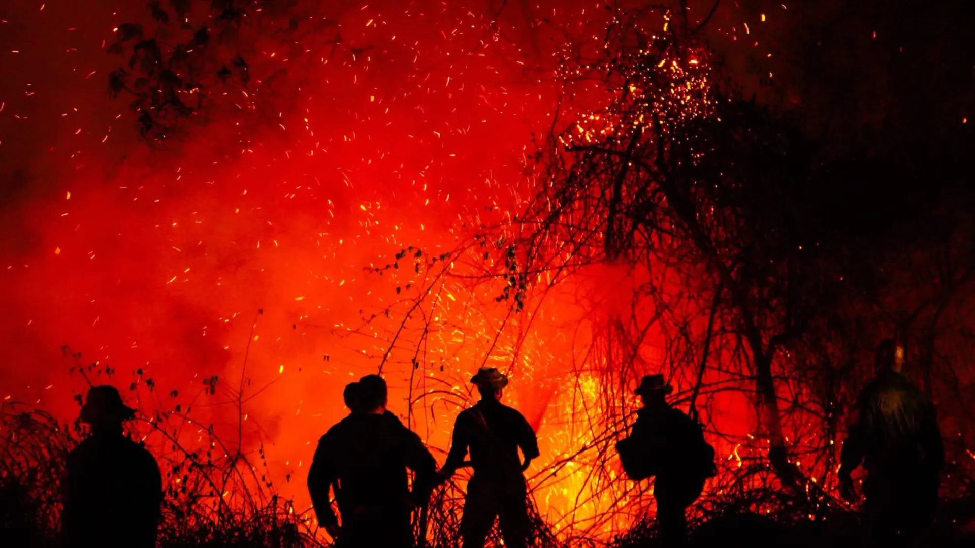 Tolima despierta bajo fuego: 22 incendios mantienen en alerta al departamento