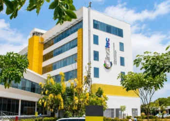 ¡Ibagué le planta cara a las grandes capitales con trasplantes infantiles!