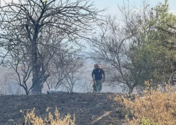 Tolima llega a 50 días de emergencia por incendios