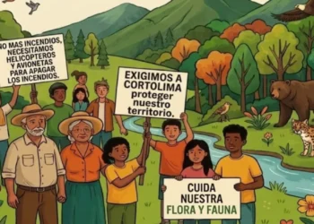 ‘No queremos discursos’: crece la indignación por los incendios en Tolima