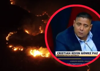 Incendios en Tolima abren polémica por coincidencias con solicitudes mineras