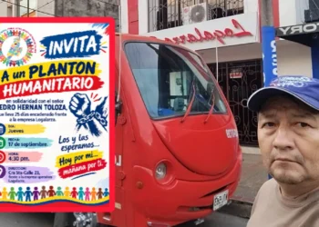 Borrador automático