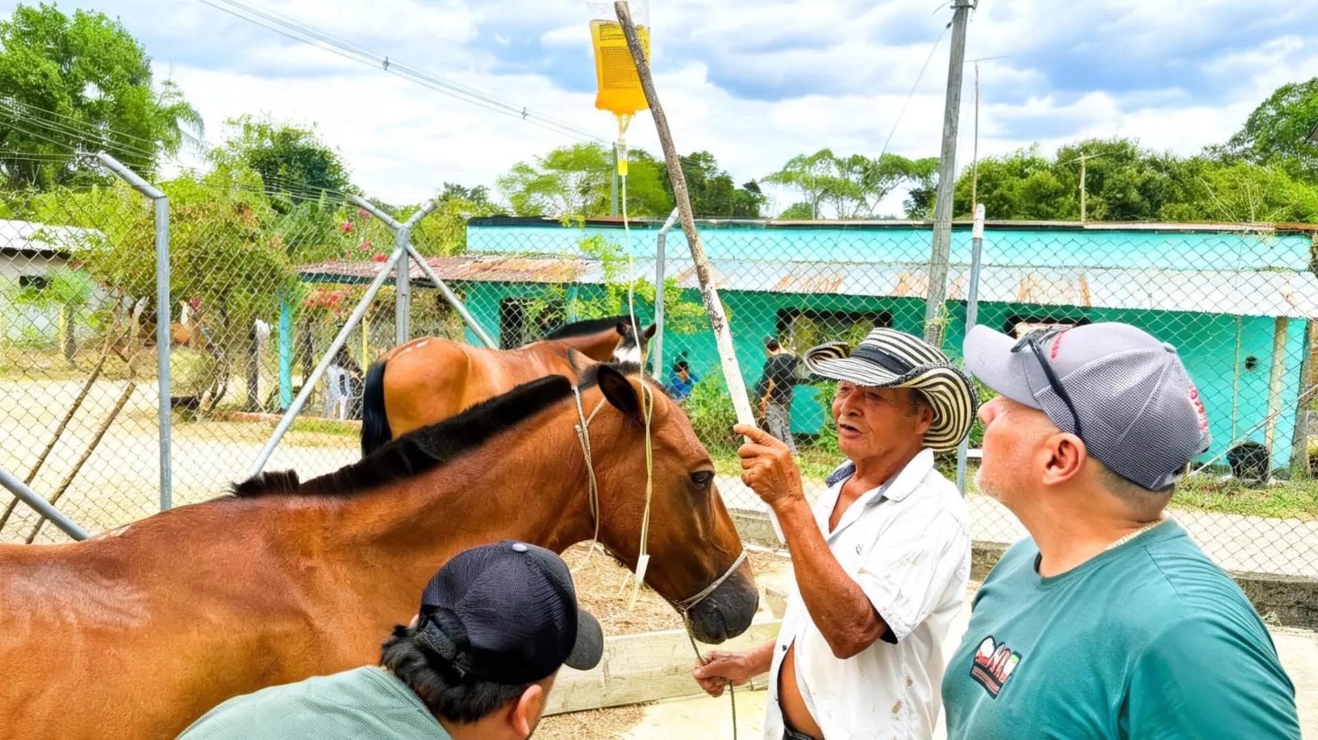 Bienestar para los animales que combaten el fuego