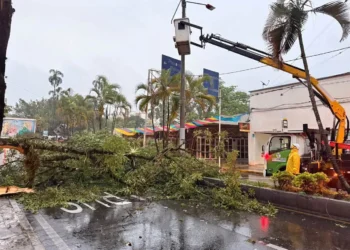 Tormenta provoca inundaciones y daños en varios sectores de Ibagué