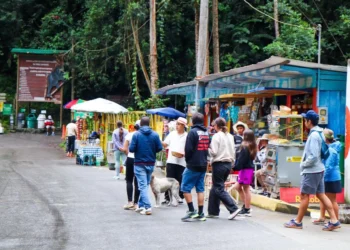 Juntas Fest prepara una jornada de música, cultura y turismo en el Cañón del Combeima