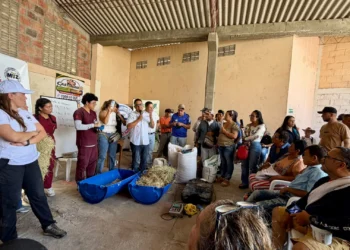 Ganaderos afectados por incendios reciben apoyo para recuperar la alimentación del ganado