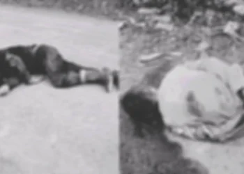 Investigan doble hallazgo de cuerpos en zona rural de Chaparral