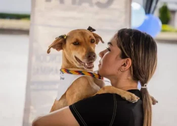 Ibagué abre jornada de adopción animal este sábado en el centro comercial La Estación